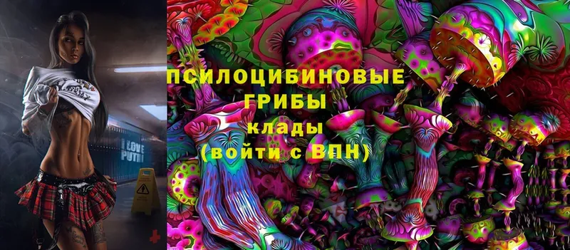 Галлюциногенные грибы GOLDEN TEACHER  это клад  Гусь-Хрустальный  купить  цена 